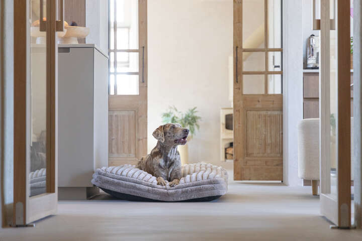 Designed by Lotte Hundekissen Reza